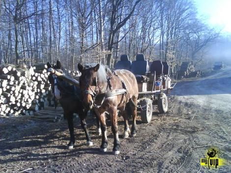 efdc9690d5e3a77b4ebcd00b819c9bbf37015.jpg efdc9690d5e3a77b4ebcd00b819c9bbf37015.jpg