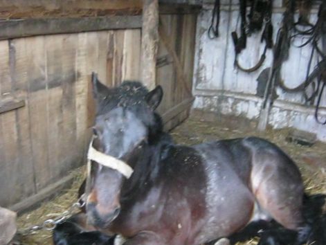 kep_213.jpg kep_213.jpg